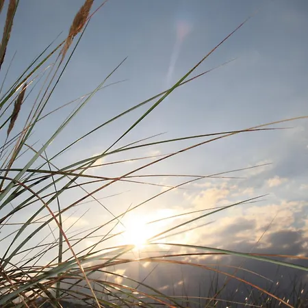 Appartement Kiefer - Ulenhoef Prerow